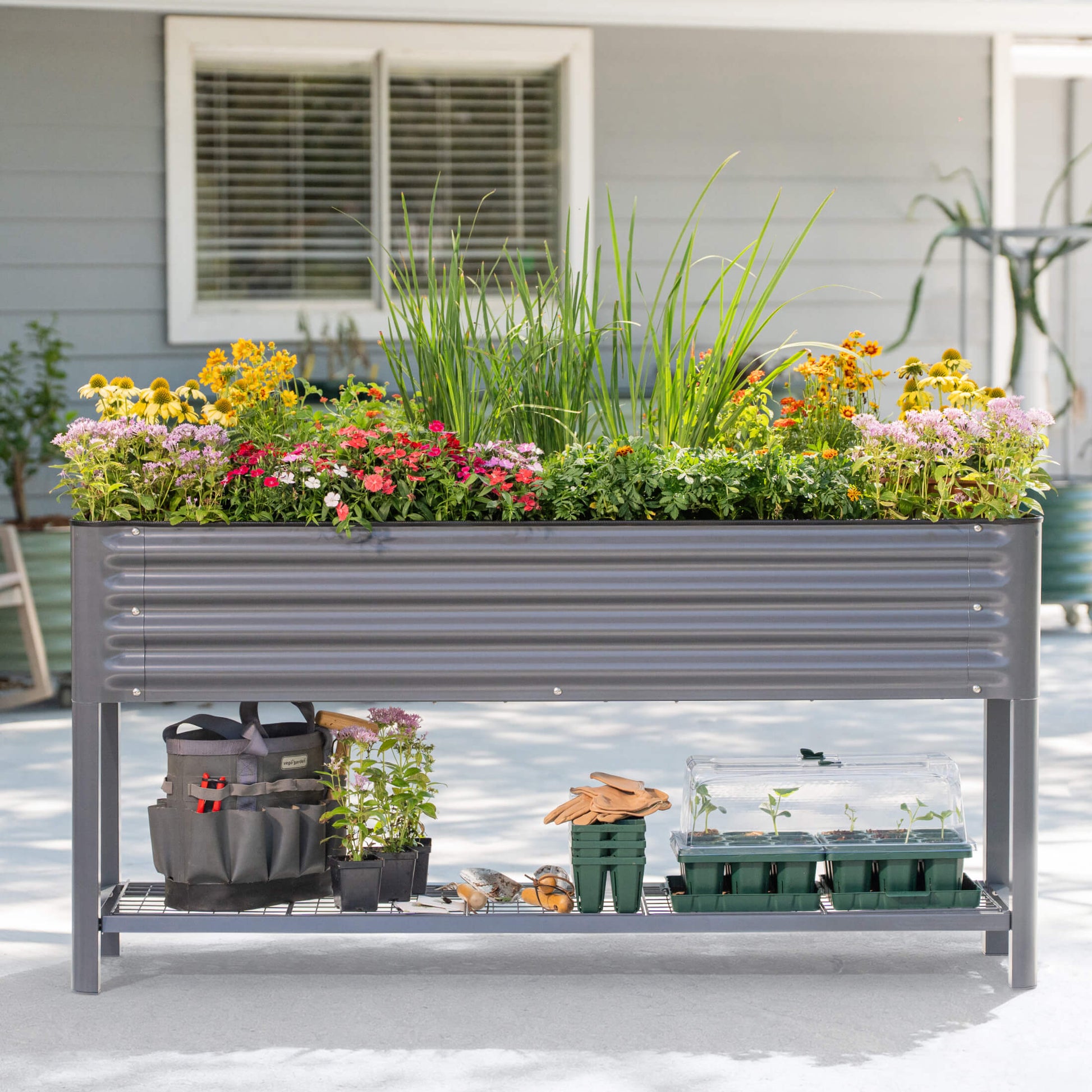 Raised slim garden bed with dark wood panels and metal corner posts set on mulch with herbs growing inside