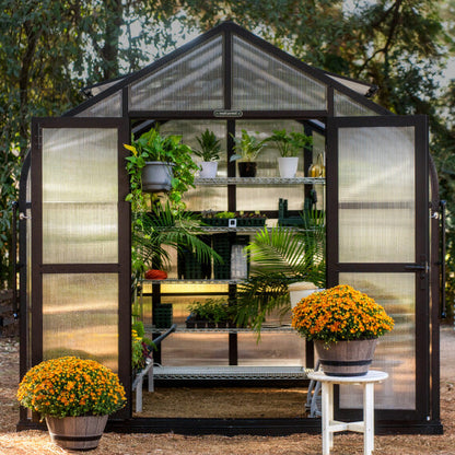 Large 8.5ft-wide greenhouse with clear panels, metal frame, sliding door, and raised shelving inside