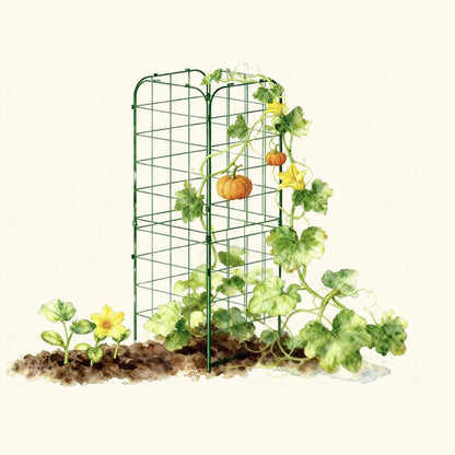 Two wooden A-frame garden trellises supporting climbing vines in a sunny backyard bed