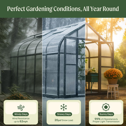 8.5ft wide greenhouse with curved roof and double doors set on a backyard patio with potted plants inside