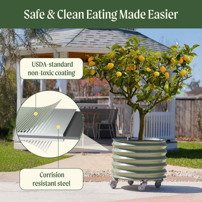 Large 30-gallon rolling self-watering planter with citrus tree, built-in reservoir and casters for easy mobility