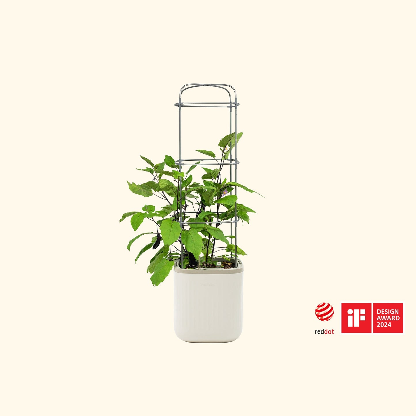 Tall self-watering tomato planter with wooden trellis and lush ripe tomatoes ready for harvest