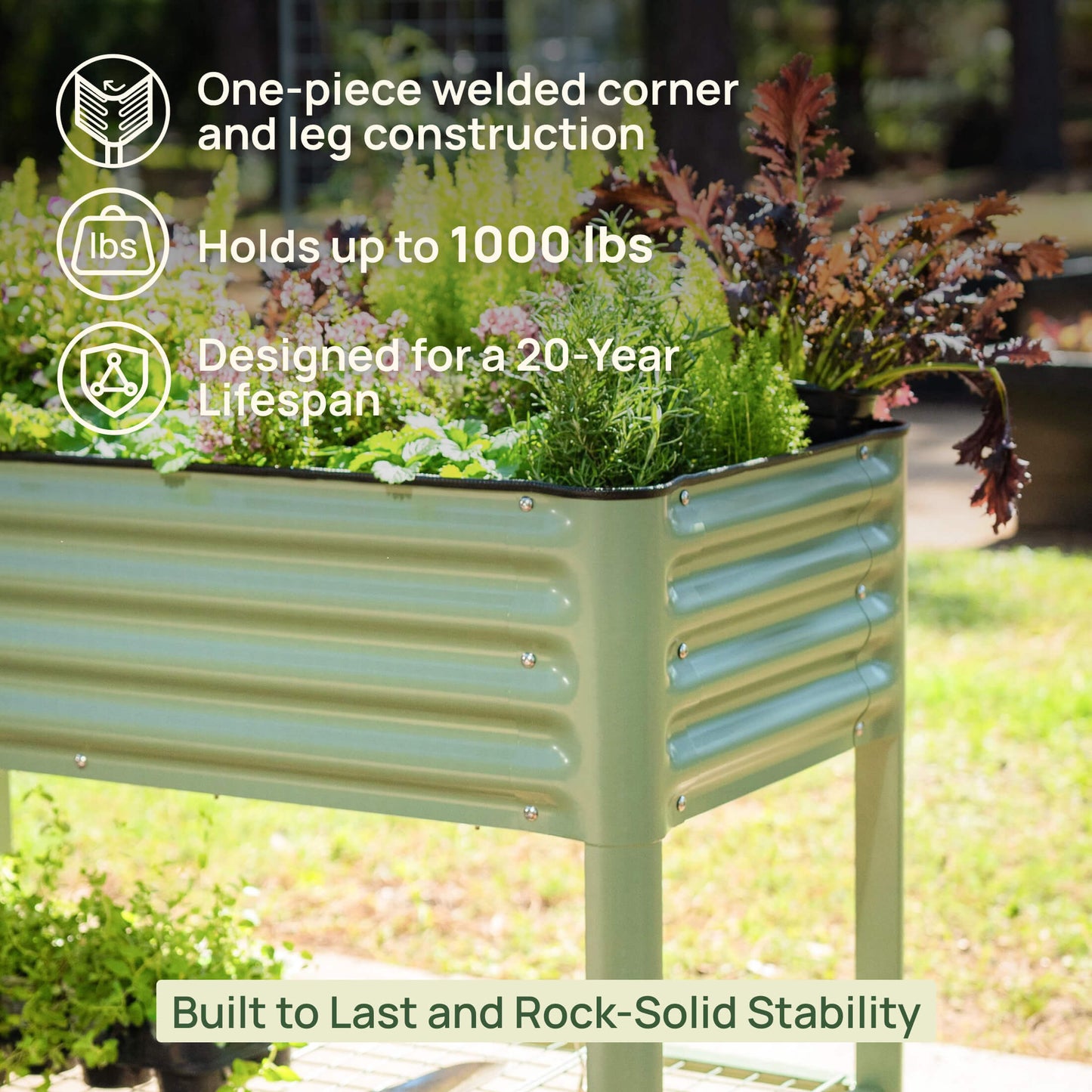 Long wooden raised garden bed planter with soil and green herbs growing along its length