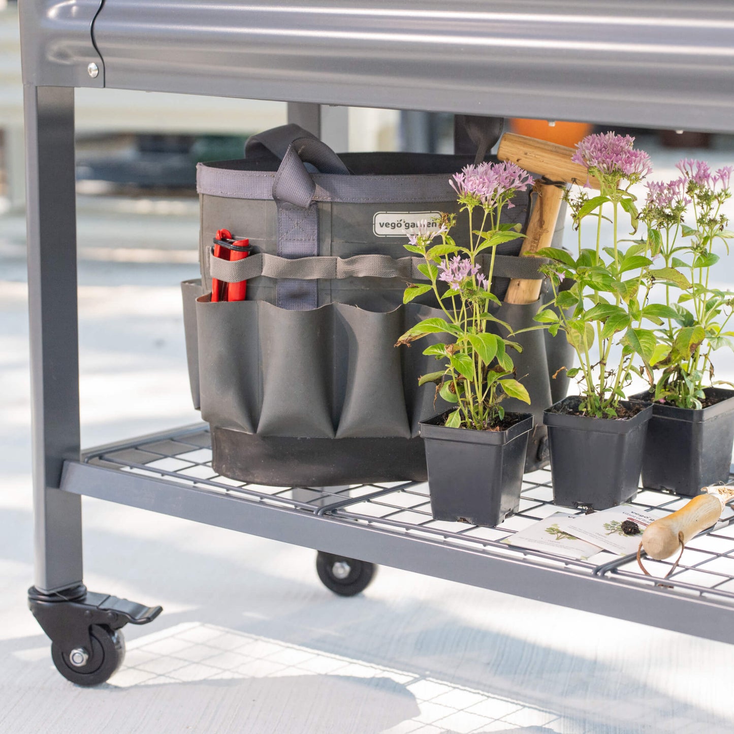 Slim elevated wooden garden bed with soil and small green seedlings, compact 1.5' x 3.5' planter