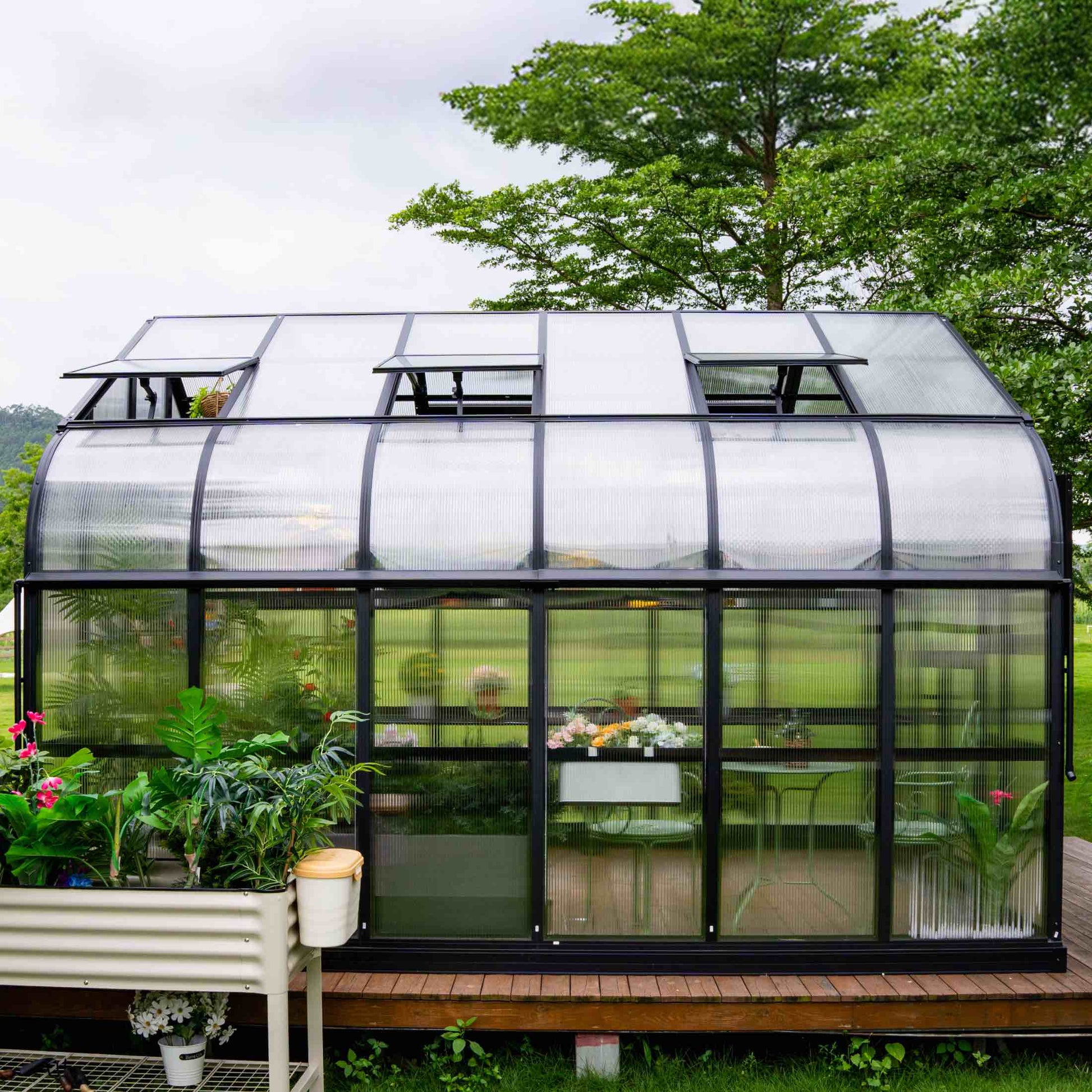 10.5 ft wide Pacific greenhouse with double-door entry and clear panels set on a backyard patio