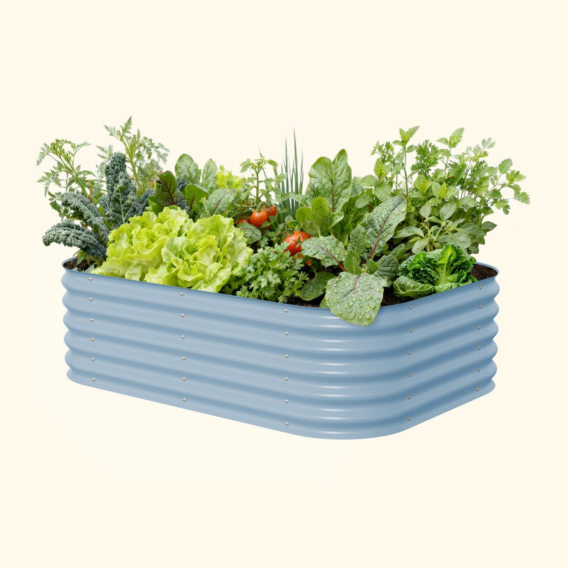 Six raised metal garden bed panels assembled into a 17-inch tall modular rectangular planter with soil and seedlings