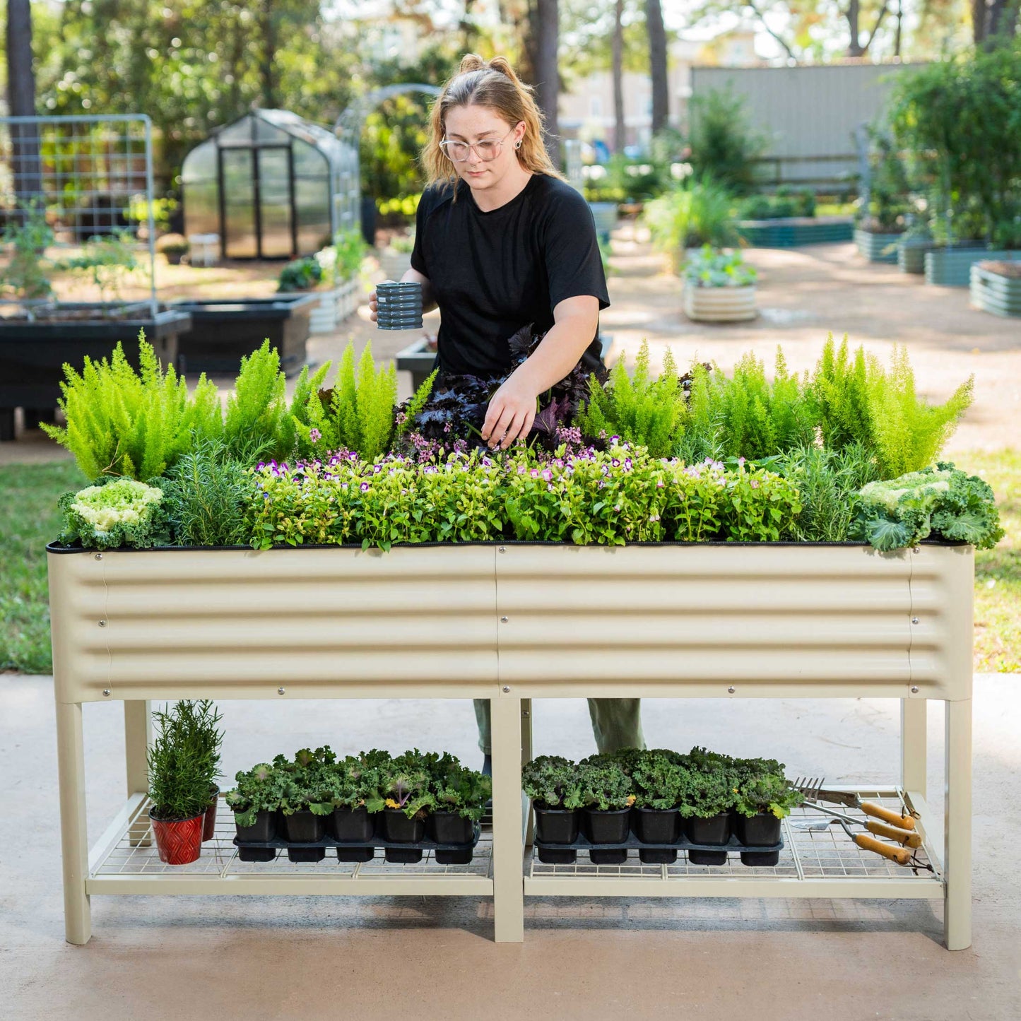 Long wooden raised garden bed 2x6 feet on patio with herbs and flowers planted