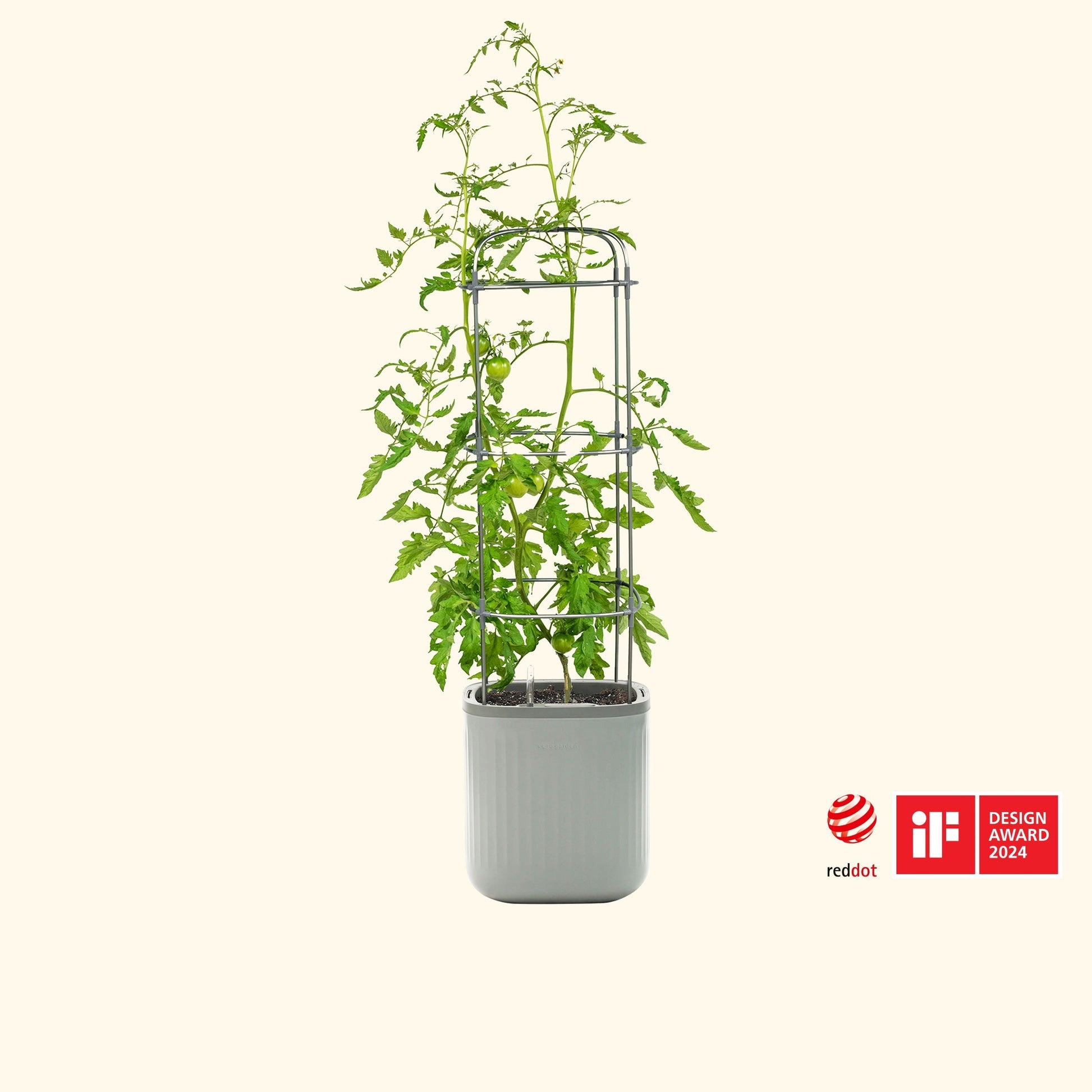 Tall self-watering tomato planter with wooden trellis and lush green tomato plants in a backyard patio setting.