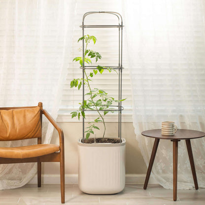 Self-watering tomato planter with built-in trellis showing lush tomato plant and ripe red tomatoes
