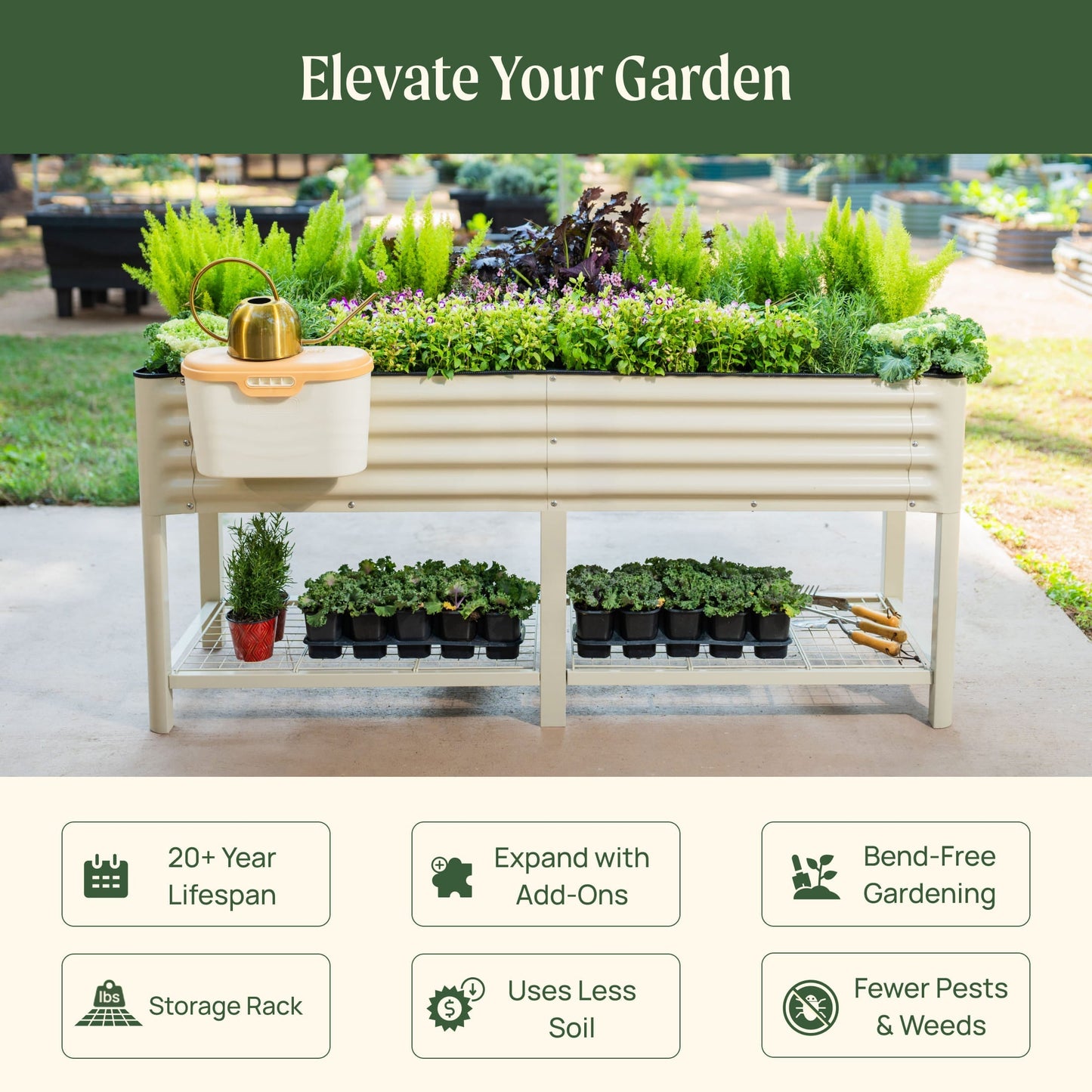 Wooden 2x6 raised garden bed planter filled with soil and young herb seedlings against a backyard fence