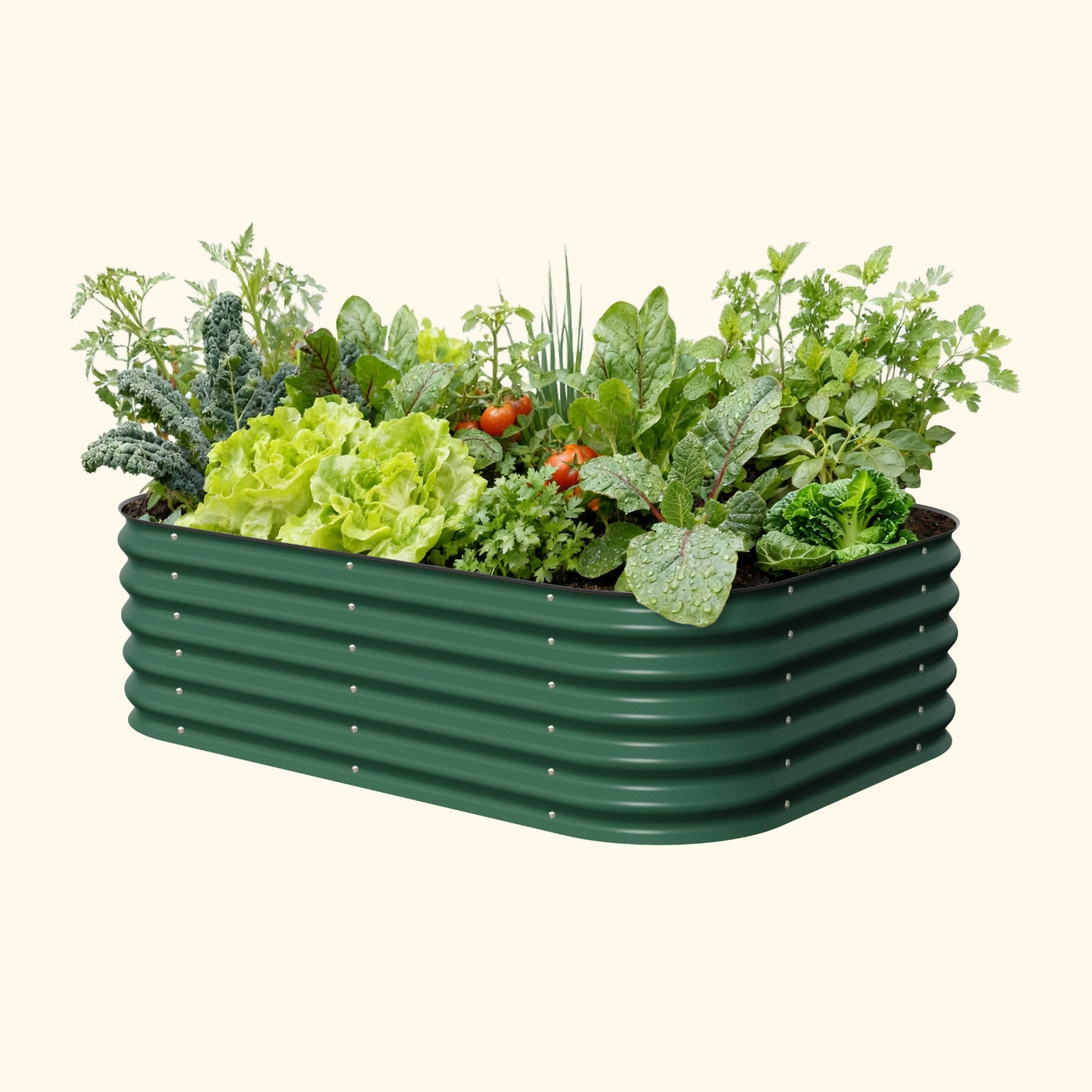 Six modular metal raised garden beds assembled into a 17" tall rectangle with soil and young vegetable plants