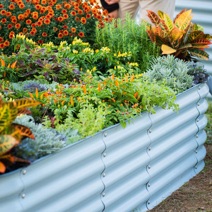 Modular metal raised garden bed assembled outdoors with soil and leafy green plants