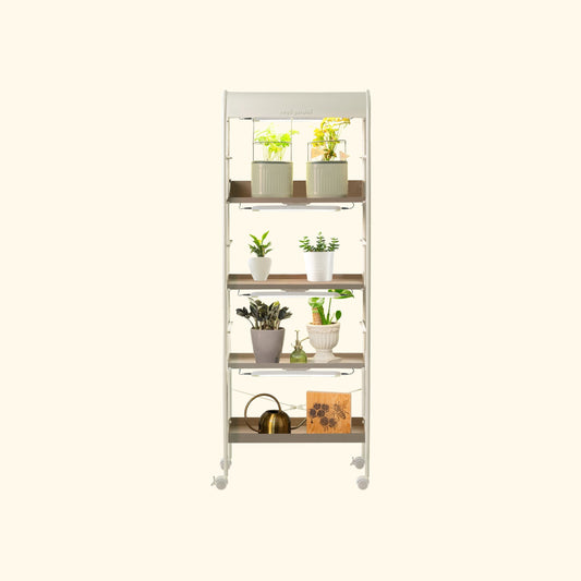 Four-tier indoor grow light rack with adjustable shelves and hanging LED lights for seedlings and potted plants