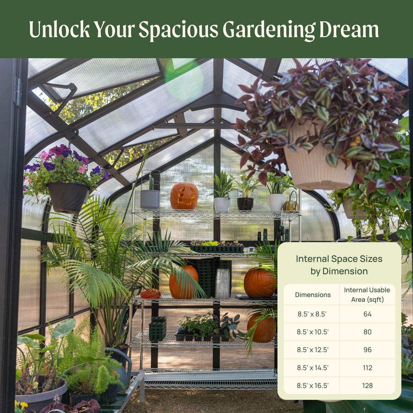 8.5ft-wide Pacific greenhouse with peaked roof and multiple shelves set on a backyard patio