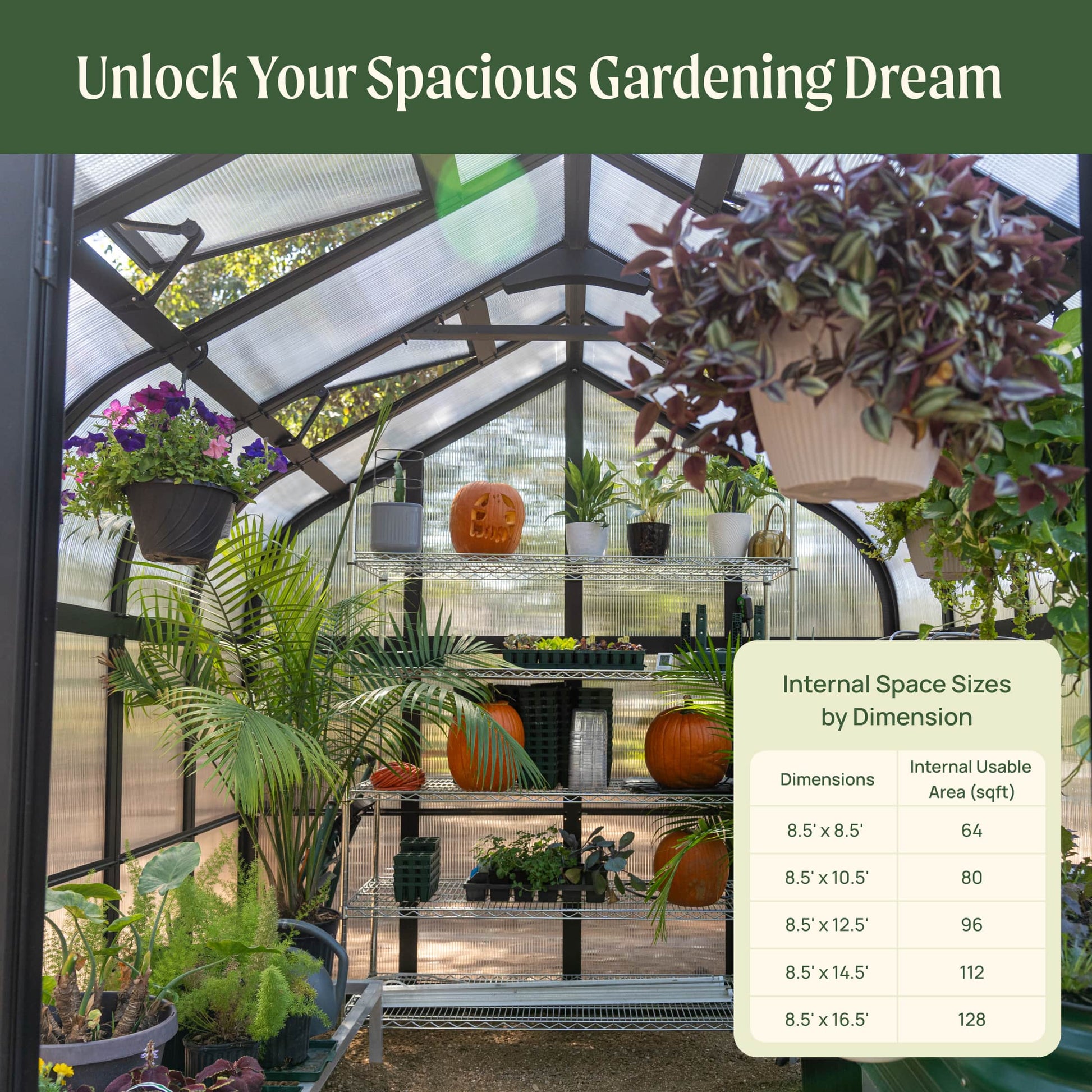 8.5ft-wide Pacific greenhouse with peaked roof and multiple shelves set on a backyard patio