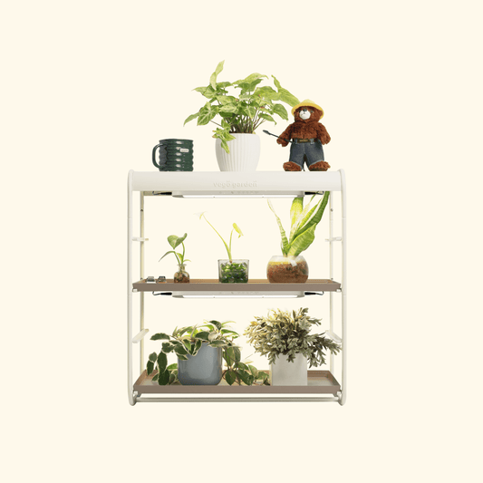 Two-tier tabletop grow light system with adjustable LED panels over multiple potted herbs and seedlings