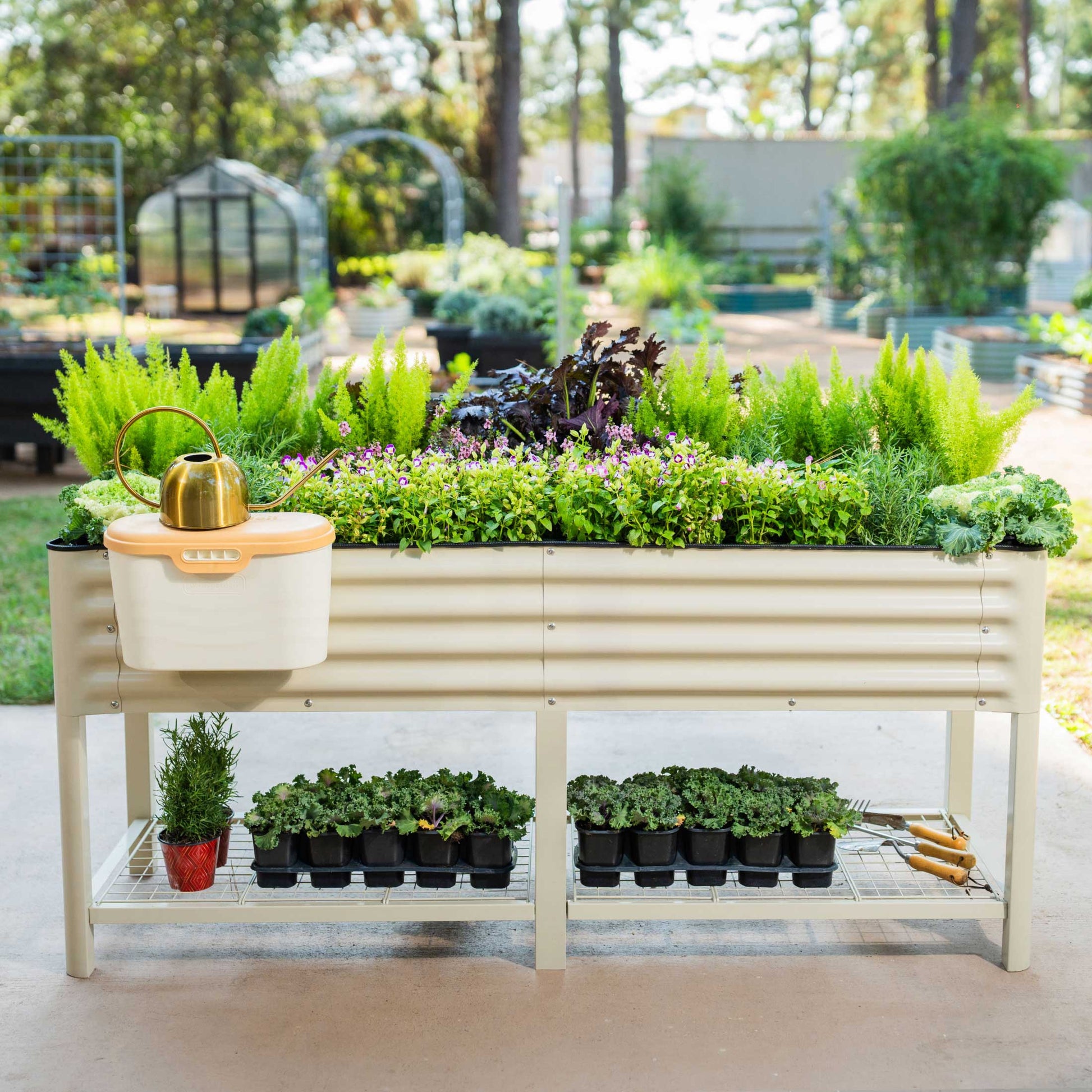 Wooden raised garden bed planter 2x6 ft filled with lush green herbs and vegetables in a backyard