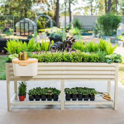 Wooden raised garden bed planter 2x6 ft filled with lush green herbs and vegetables in a backyard