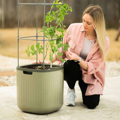Tall self-watering tomato planter with integrated trellis supporting ripe red tomatoes and lush green foliage