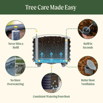 Large 30-gallon wheeled self-watering planter with trellis, holding a thriving citrus tree and soil