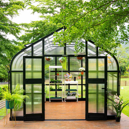 Spacious 10.5 ft wide greenhouse with clear panels and arched roof set on a backyard patio with potted plants