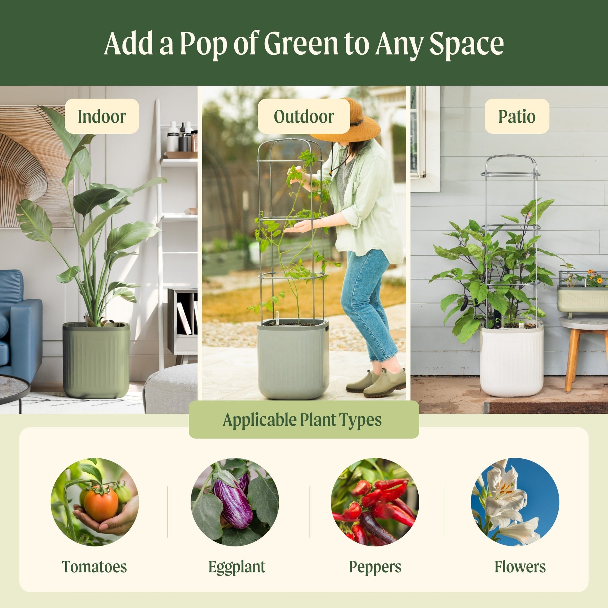 Tall self-watering tomato planter with attached trellis, healthy tomato plant and green foliage