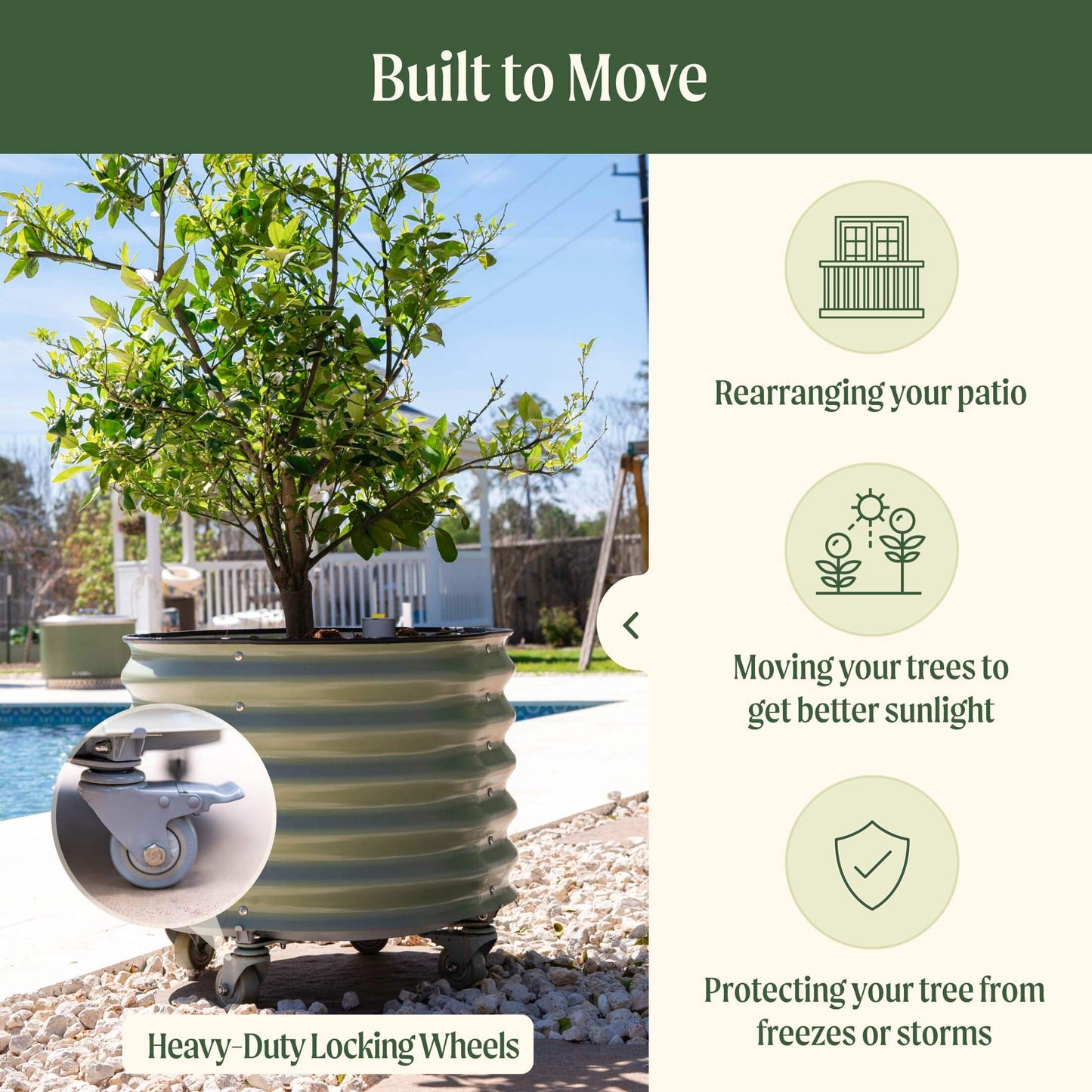 Large 30-gallon rolling self-watering planter with citrus tree and drainage tray on caster wheels