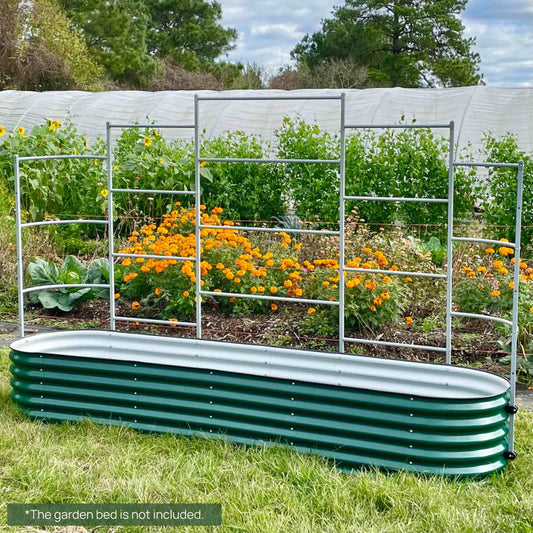 Adjustable metal wall trellis panels mounted with climbing roses and ivy to create a vertical garden