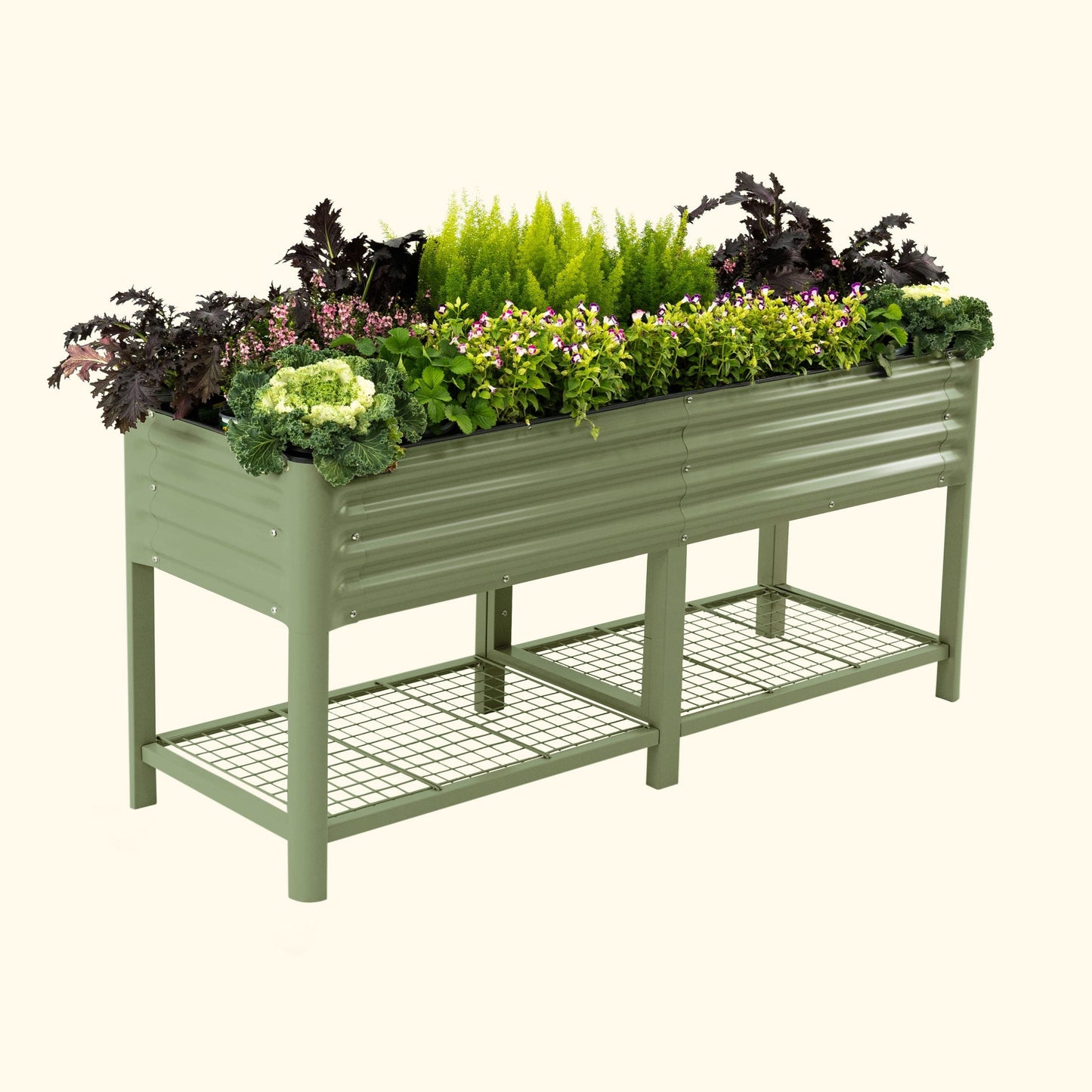 Long wooden raised garden bed planter with soil and green herbs growing along its length
