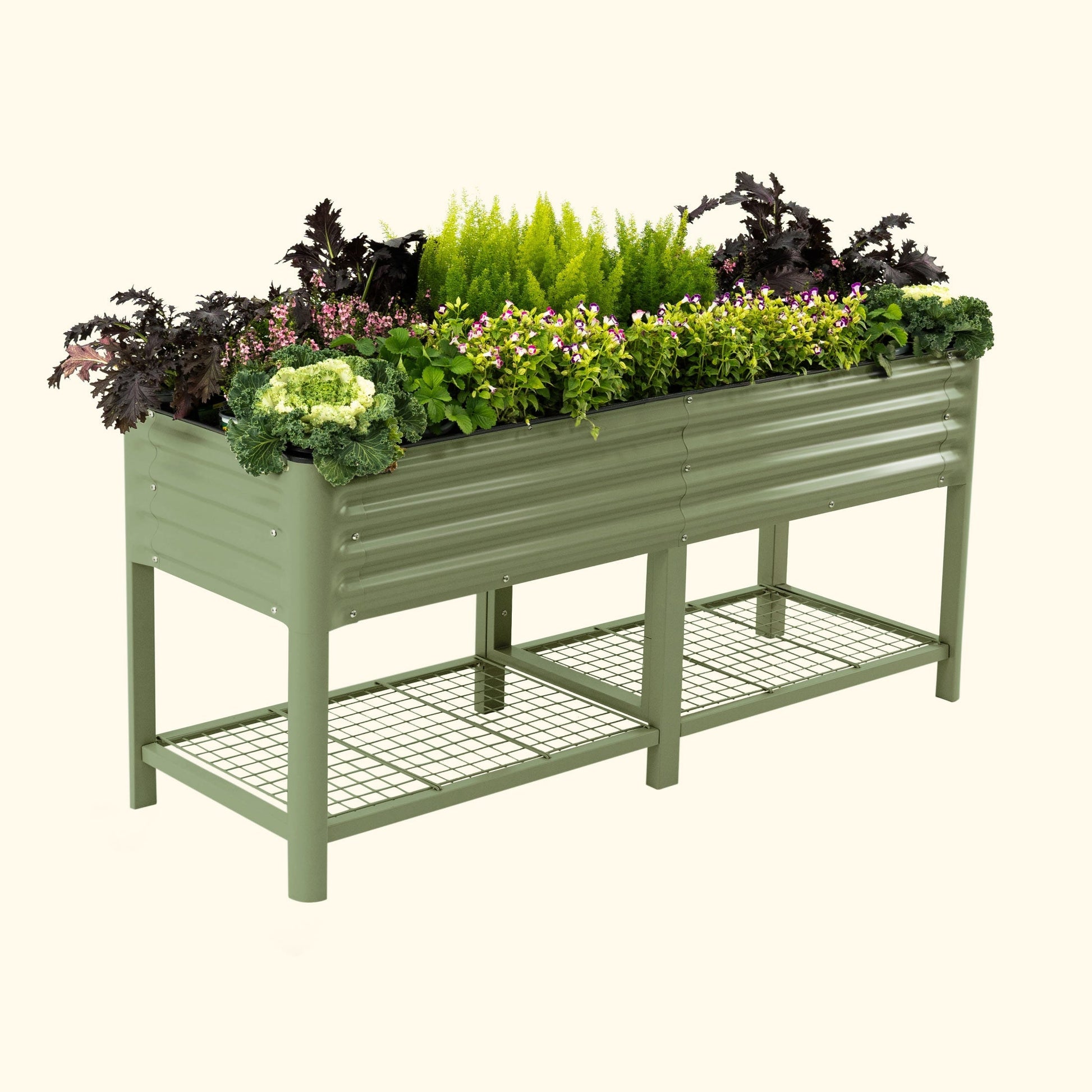 Long wooden raised garden bed planter with soil and green herbs growing along its length