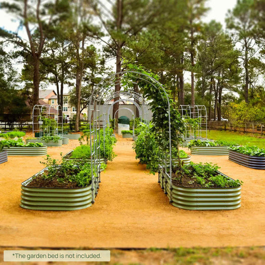 Metal arched garden trellis support system with multiple panels for climbing plants and vine training