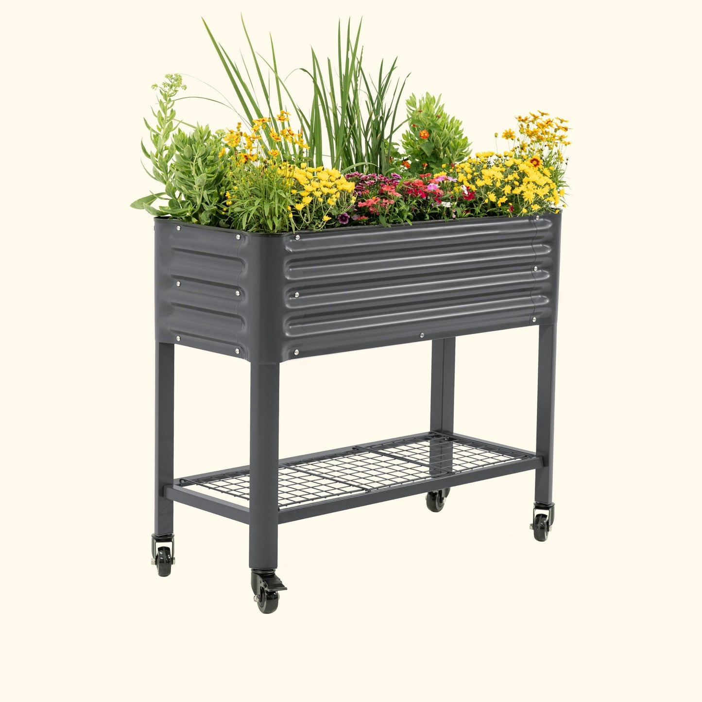 Slim elevated wooden garden bed with slatted sides and soil, ideal for small patios or balconies