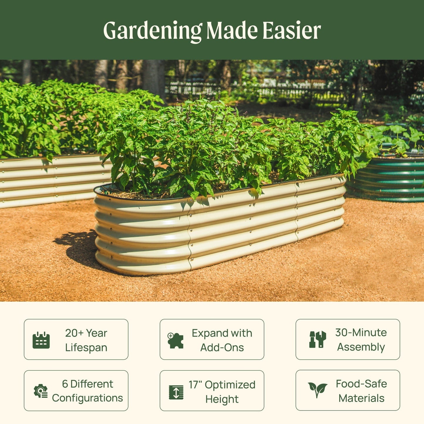 Six-paneled 17-inch tall modular metal raised garden bed assembled outdoors with rich soil and small plants