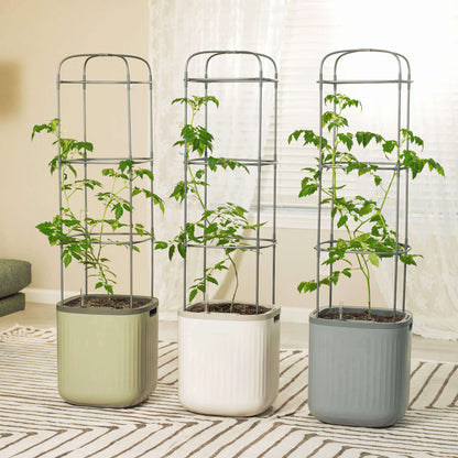 Tomato planter with integrated trellis and water reservoir holding vibrant red tomatoes and healthy green foliage