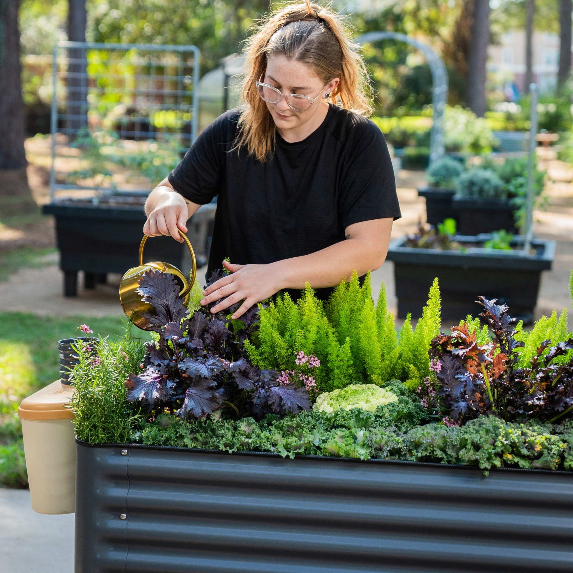 Long wooden raised garden bed planter, 2 ft by 6 ft, filled with mixed herbs and leafy greens outdoors