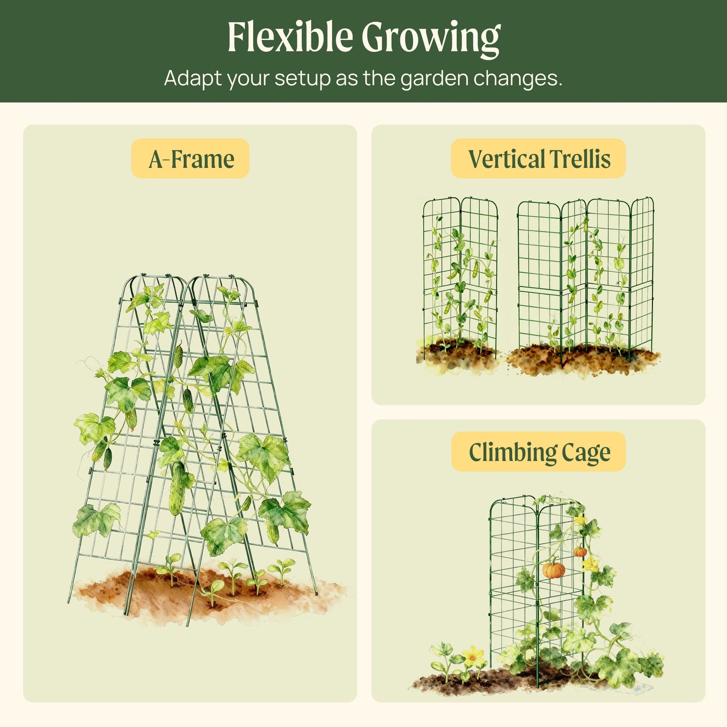 Two black A-frame garden trellises set up over potted climbing plants in a sunny backyard