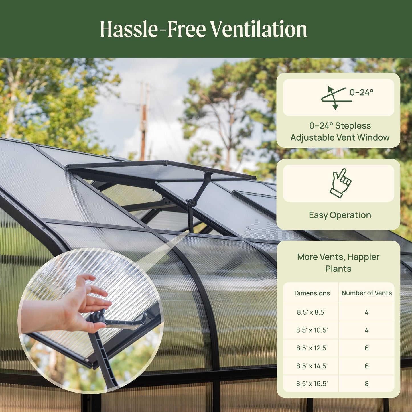 Large Pacific-style greenhouse with glass panels and metal frame set in a sunny backyard garden