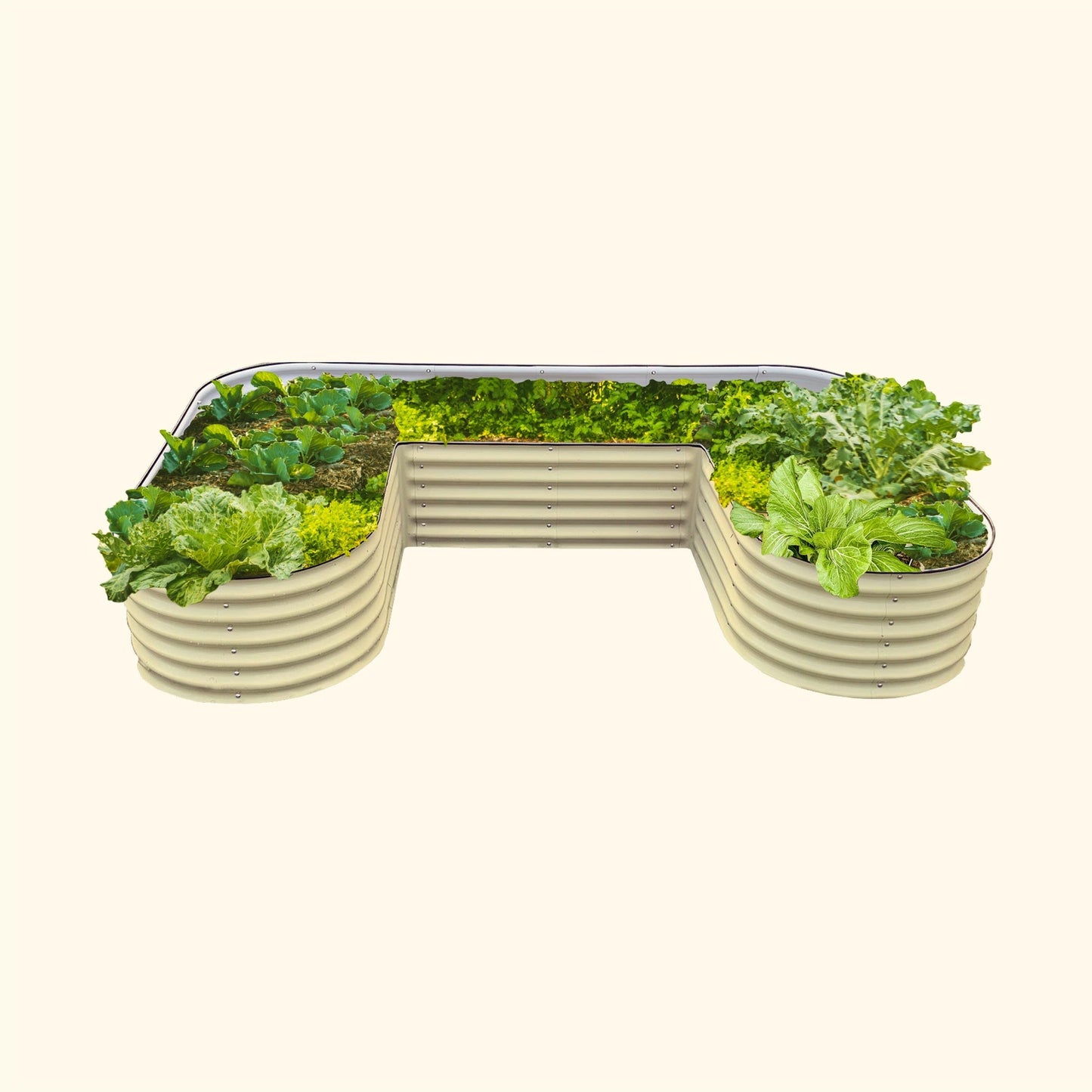 U-shaped 17-inch raised garden bed kit in pine wood, standard height, assembled outdoors with soil and plants