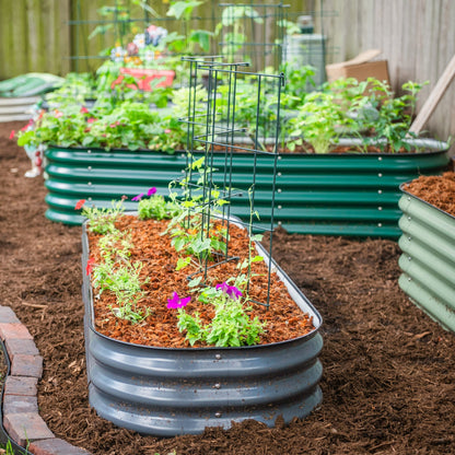 Three 6-tier metal tomato support towers assembled in a garden bed with tomato plants and green foliage