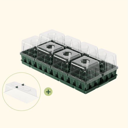 Seed germination cell tray with 1020-sized compartments and clear dome for starting seedlings indoors